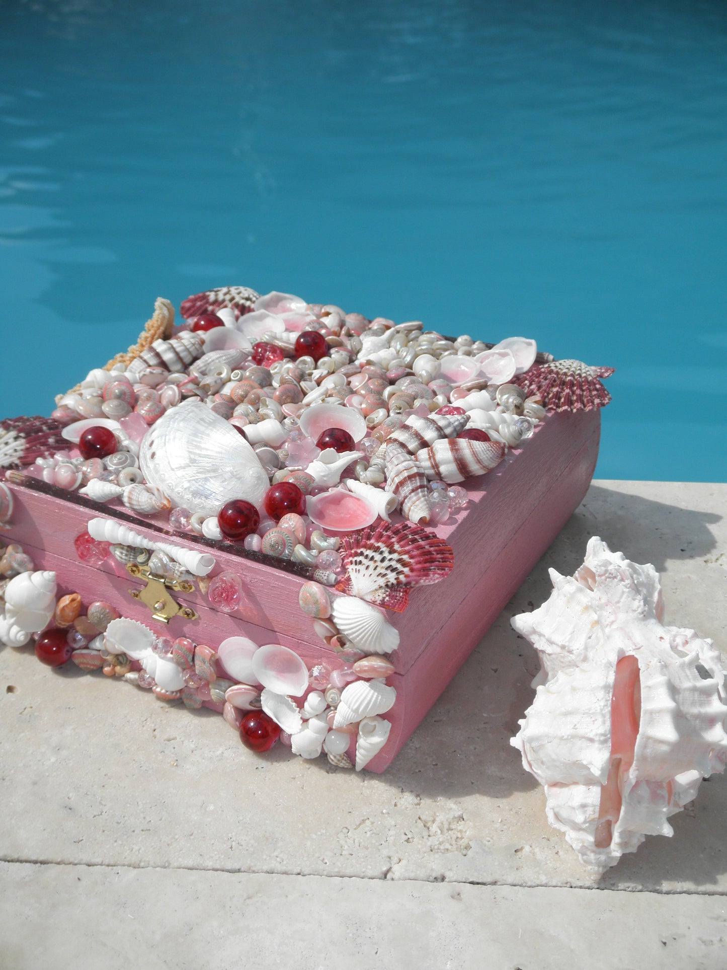 Blushed Sea Nymph Shell Box