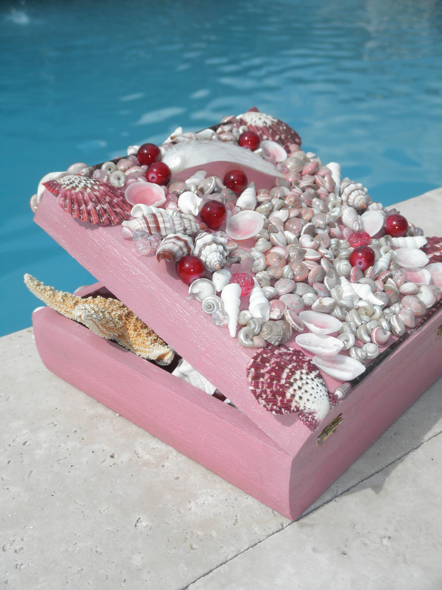 Blushed Sea Nymph Shell Box